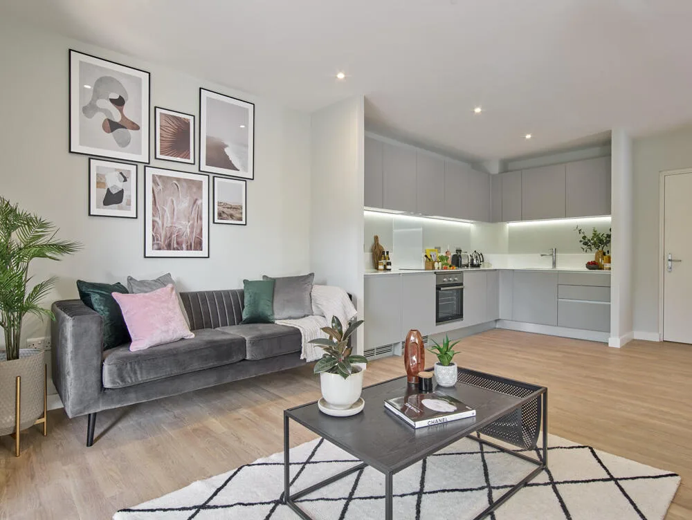 1 bedroom apartment for rent