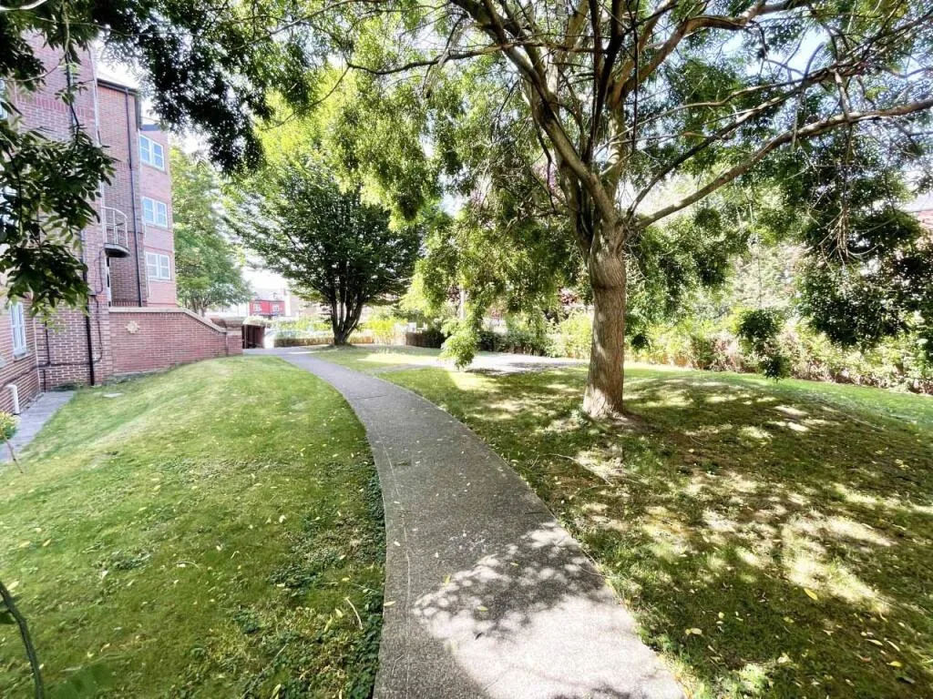 4 bedroom flat for rent