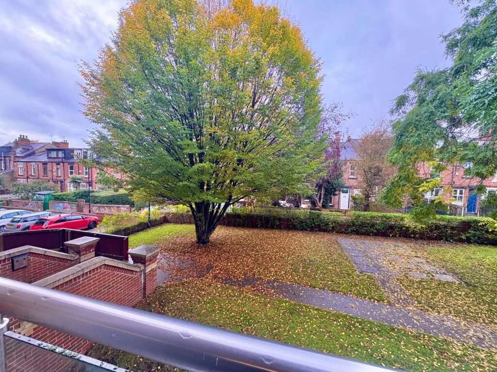 4 bedroom flat for rent