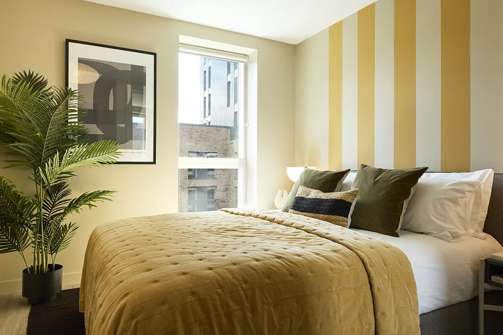 3 bedroom apartment for rent