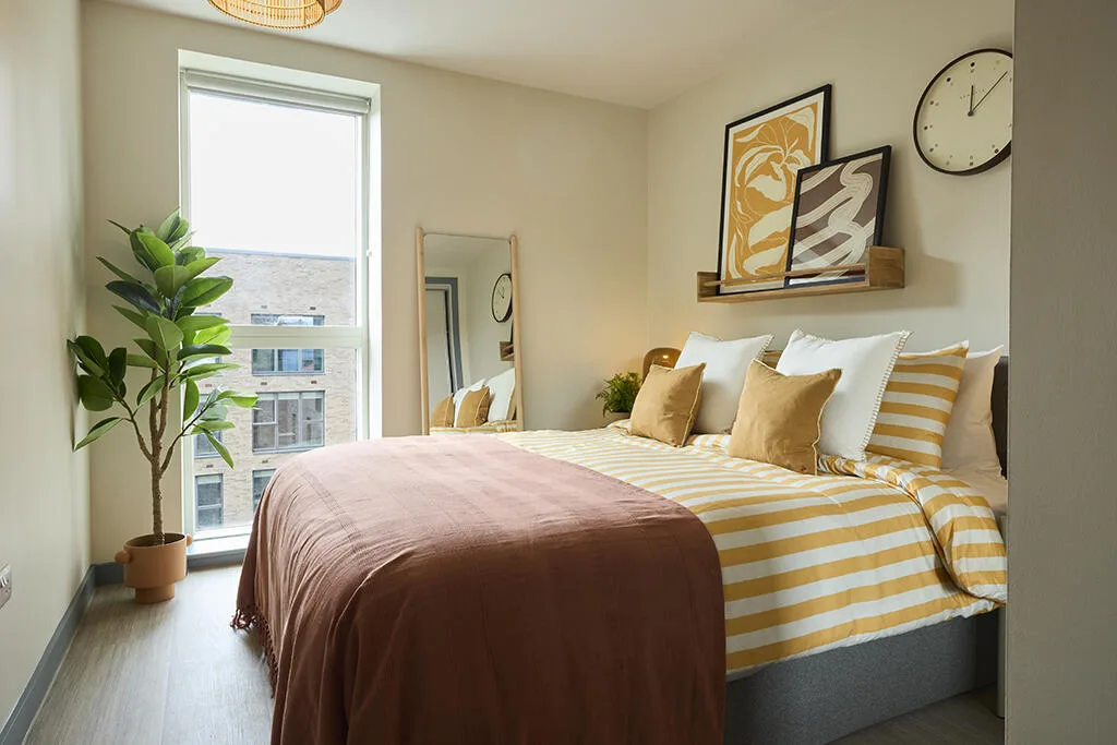3 bedroom apartment for rent