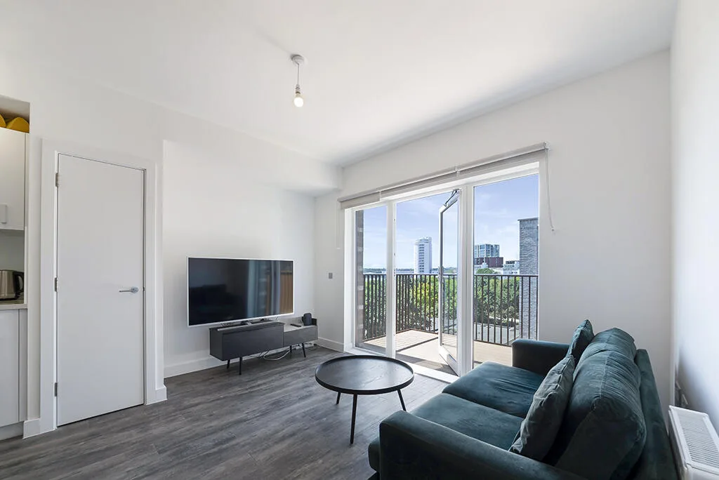 1 bedroom apartment for rent