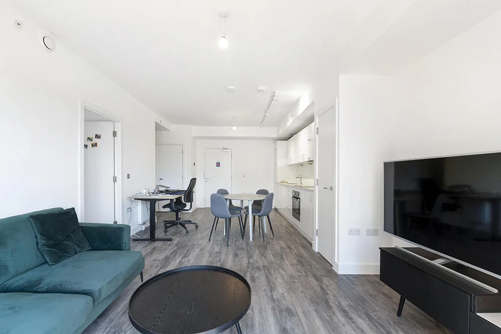 1 bedroom apartment for rent