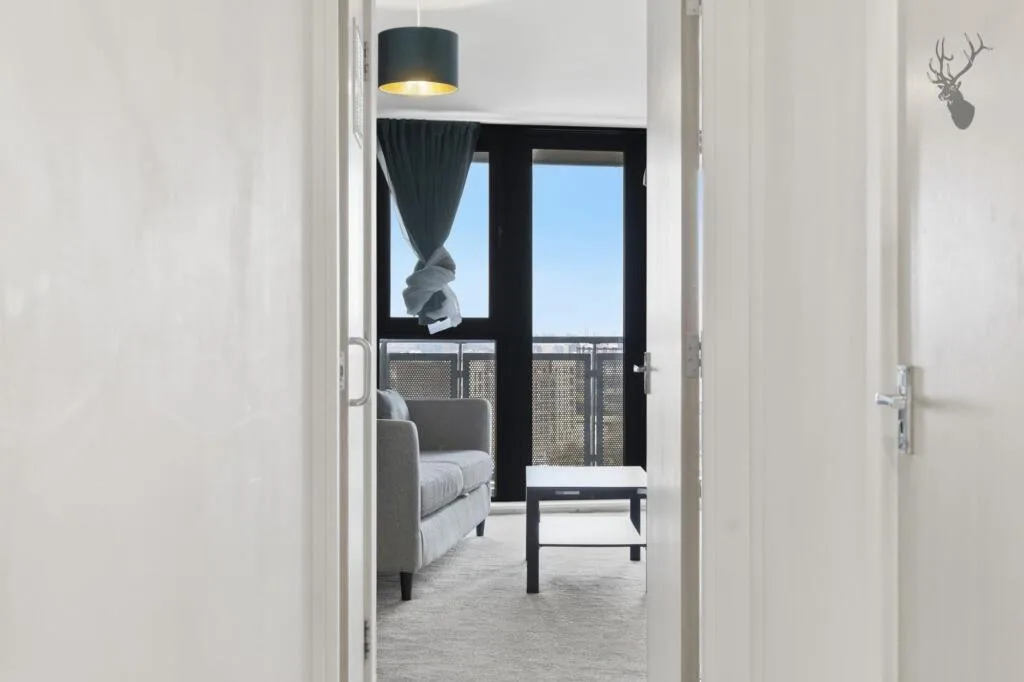 1 bedroom apartment for rent