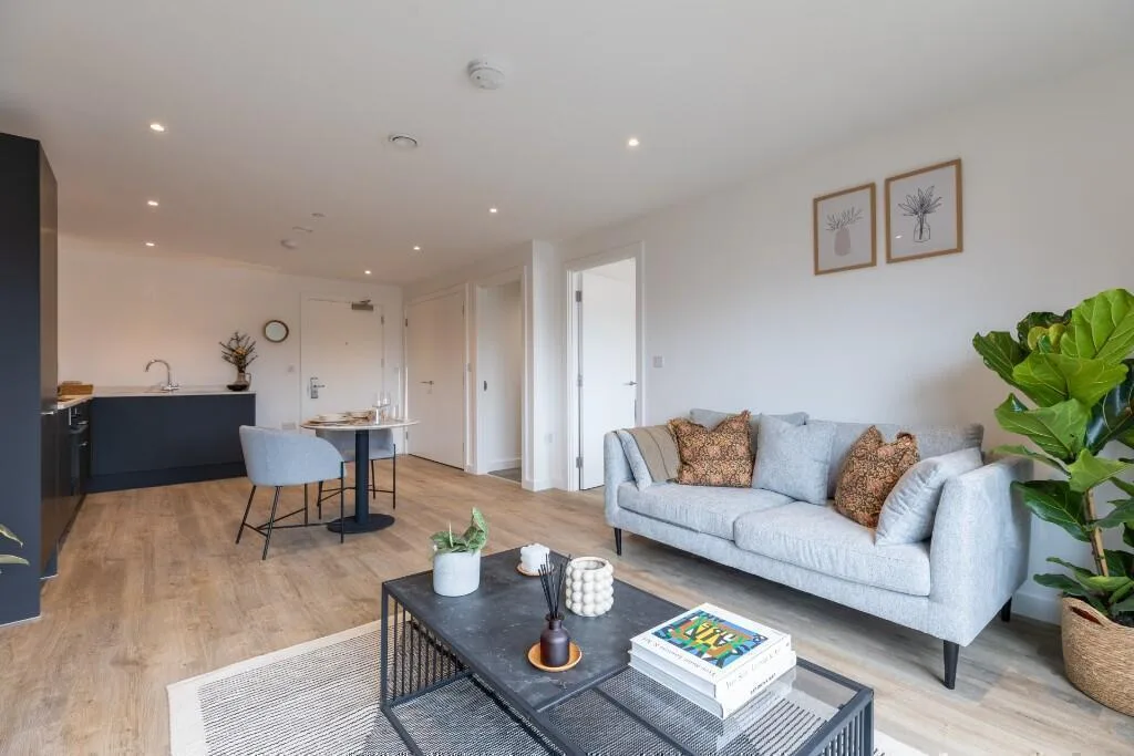 1 bedroom flat for rent