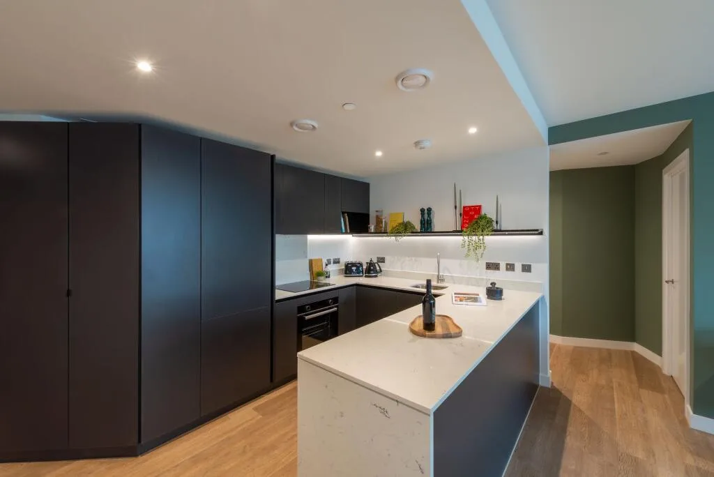 2 bedroom apartment for rent