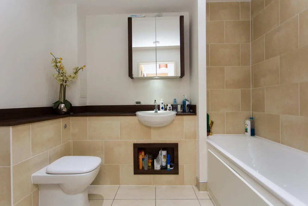 1 bedroom apartment for rent