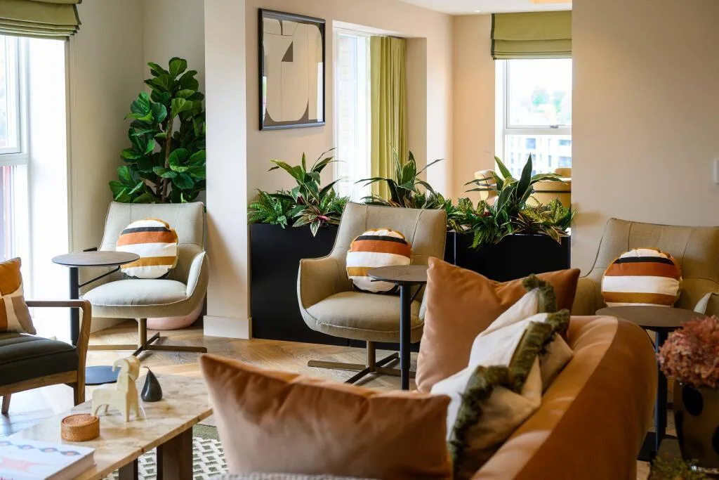 3 bedroom apartment for rent
