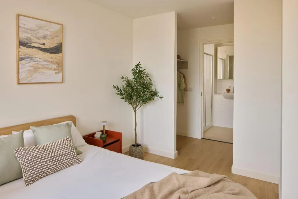 1 bedroom apartment for rent