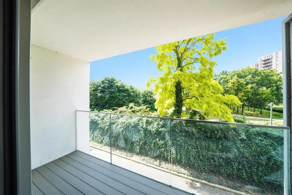2 bedroom house for rent