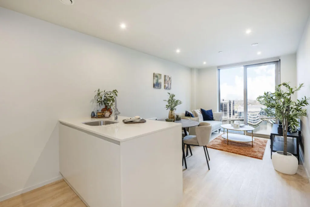 1 bedroom apartment for rent