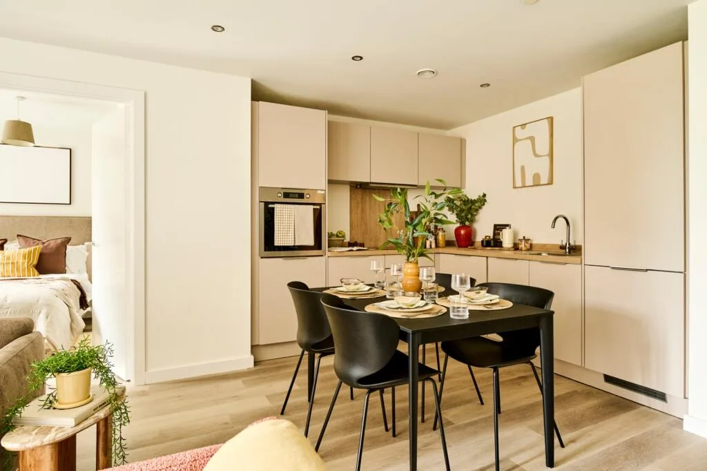 1 bedroom apartment for rent