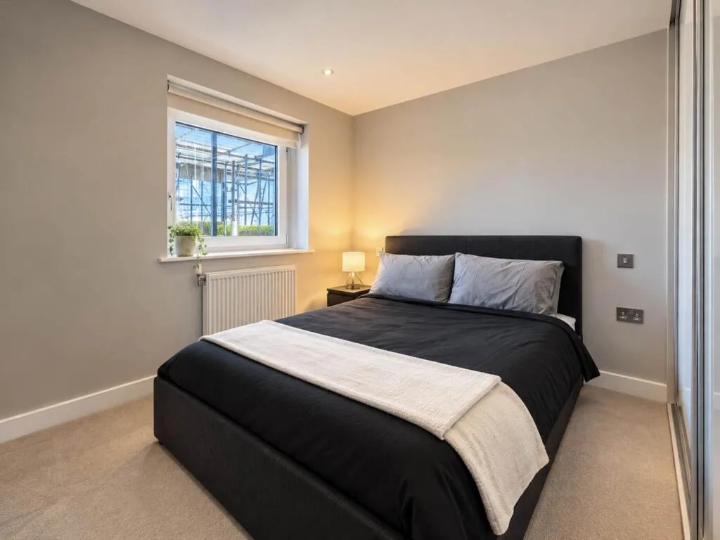 1 bedroom apartment for rent