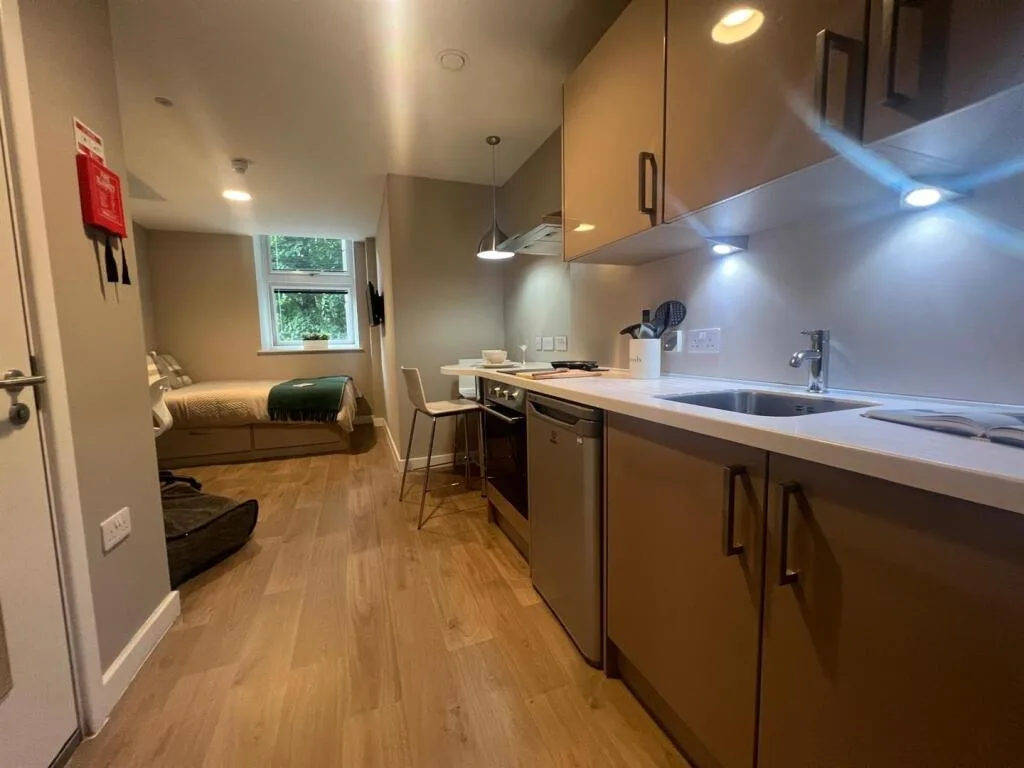 1 bedroom apartment for rent