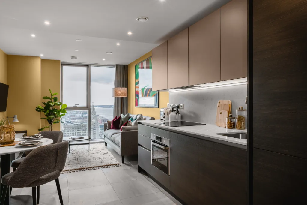1 bedroom apartment for rent