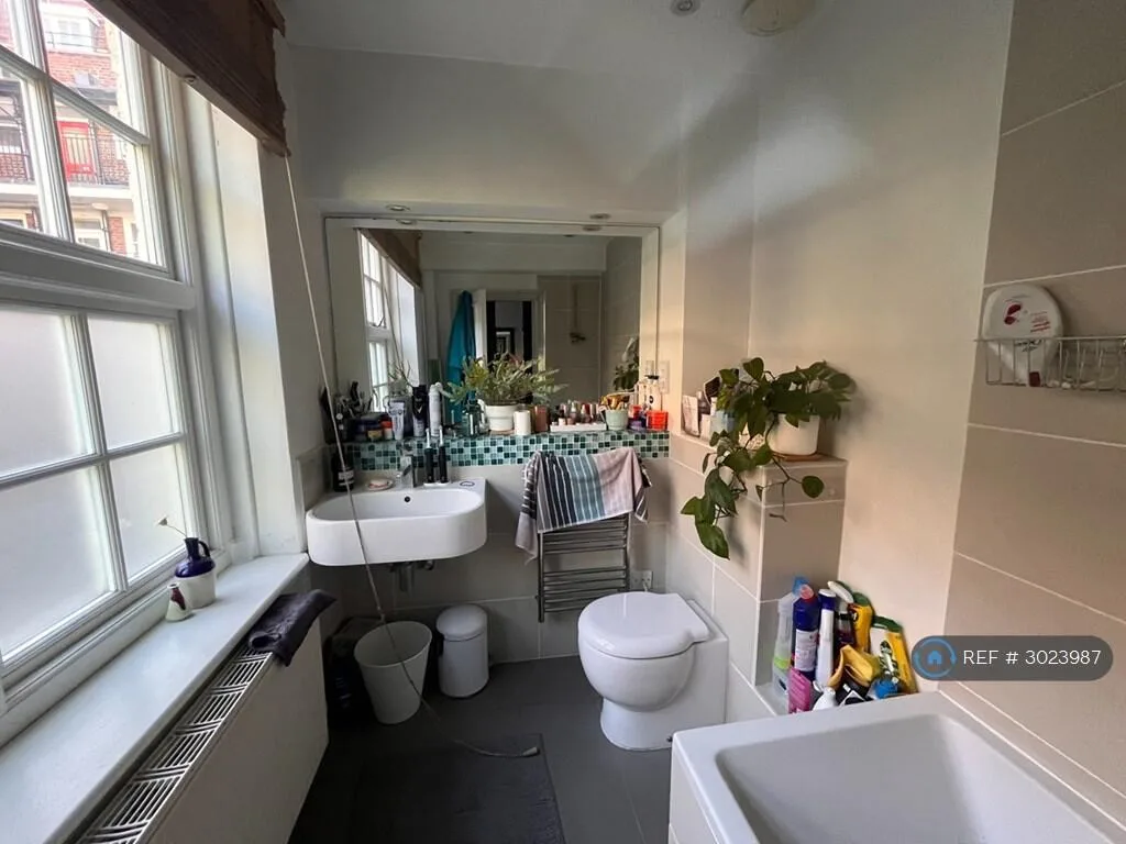 3 bedroom flat for rent