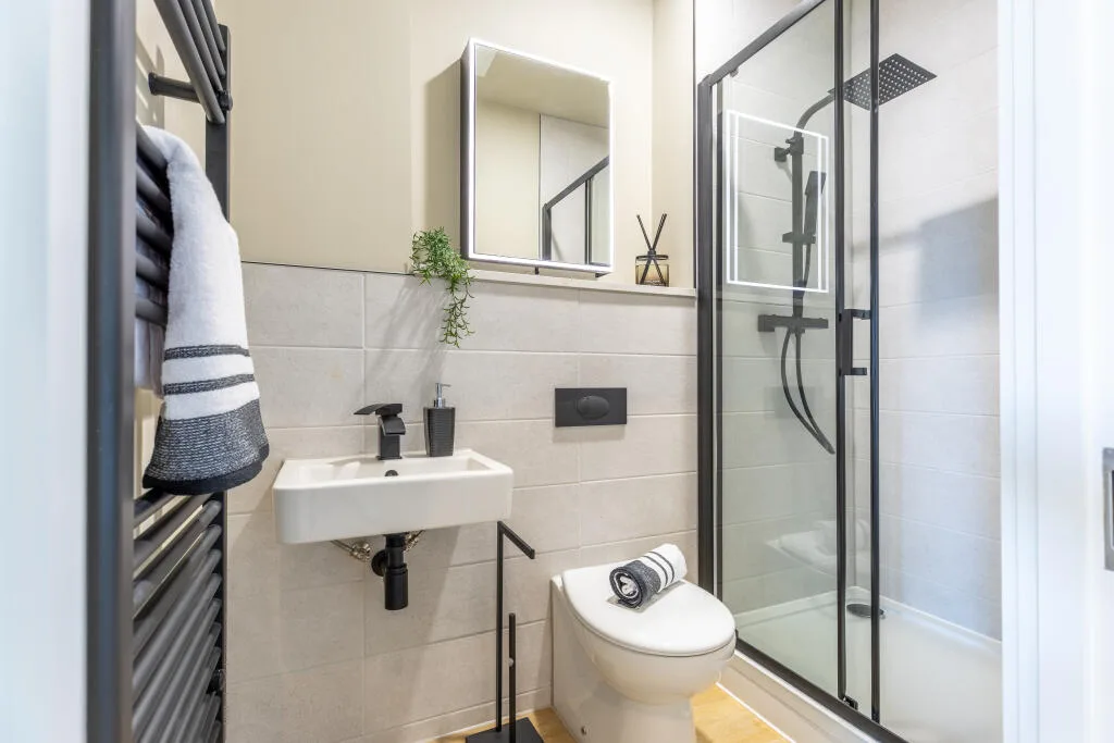 1 bedroom apartment for rent