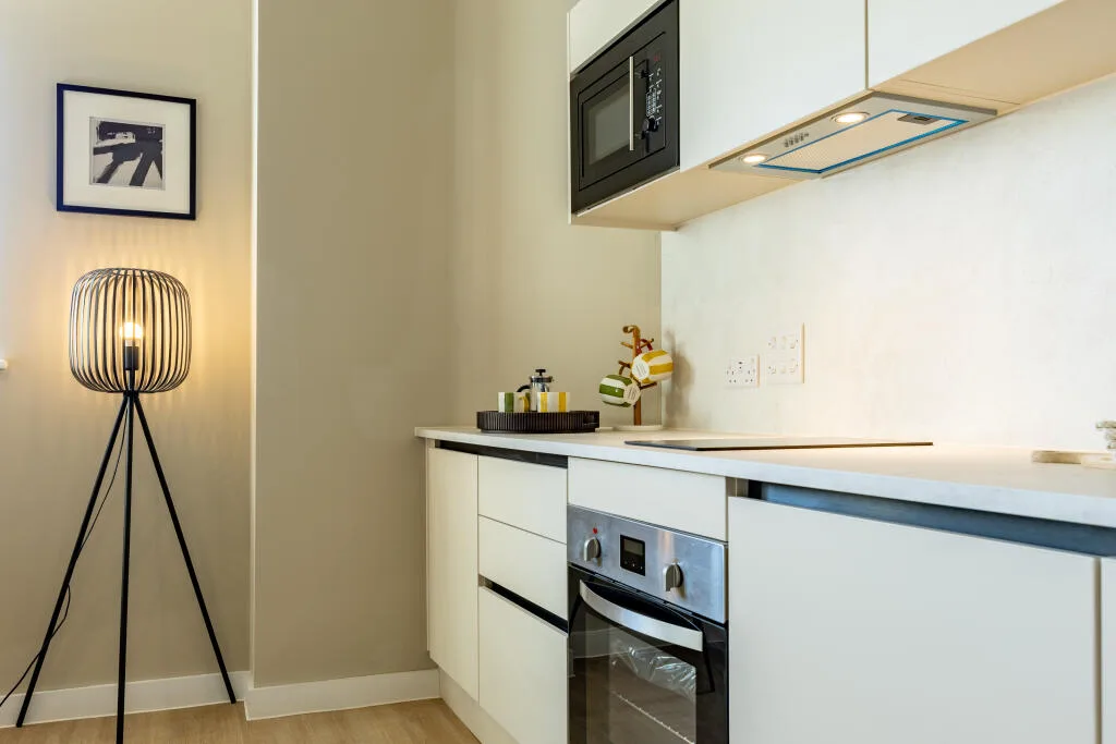 1 bedroom apartment for rent