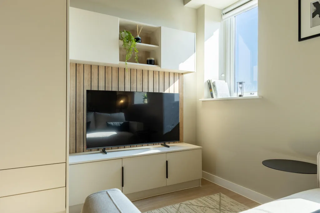1 bedroom apartment for rent