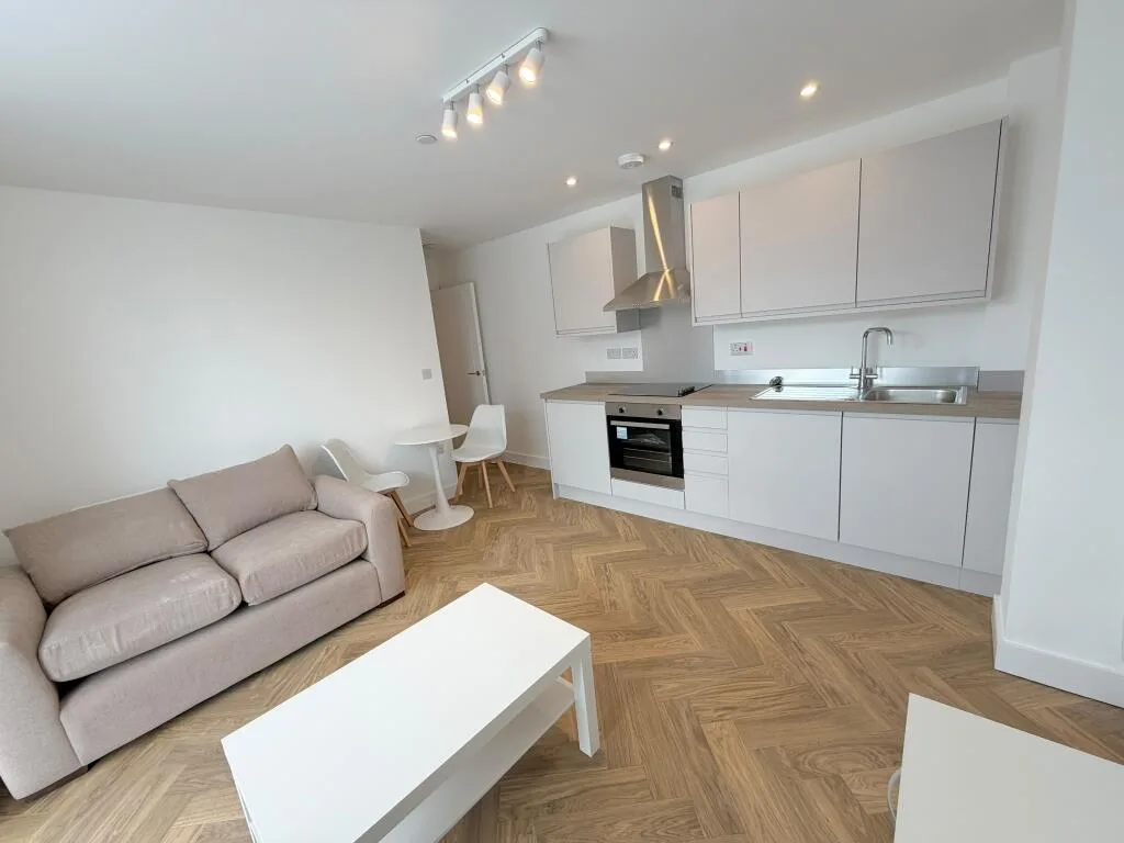 1 bedroom apartment for rent