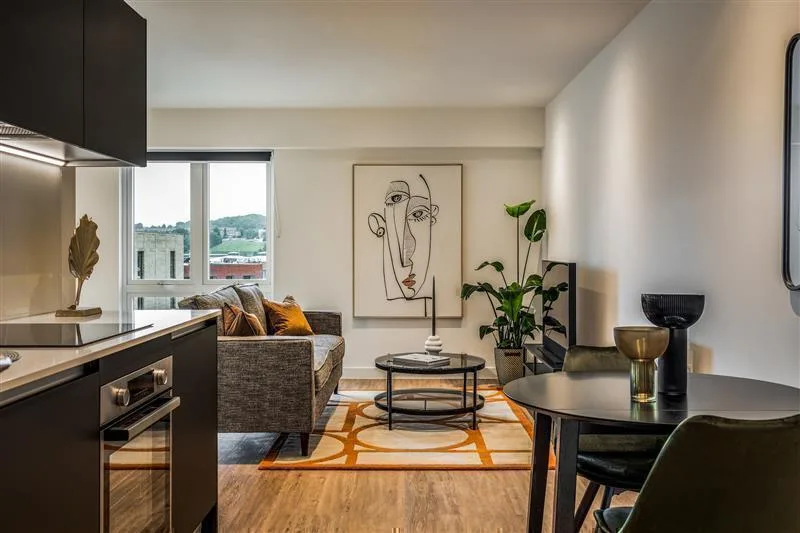 1 bedroom apartment for rent