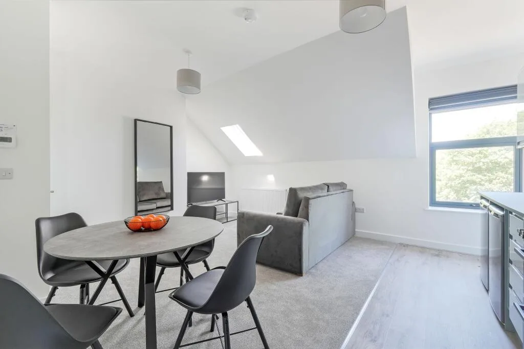 1 bedroom flat for rent