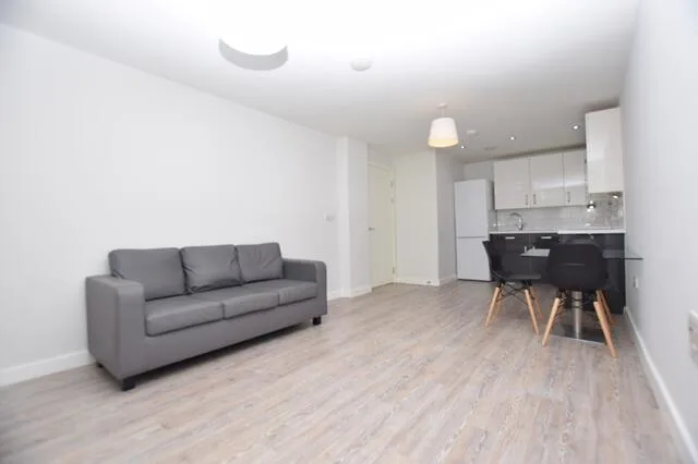 1 bedroom apartment for rent