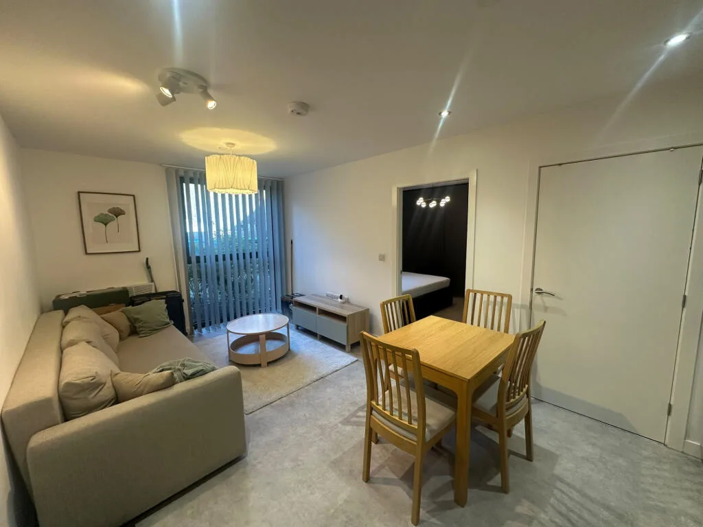 1 bedroom apartment for rent