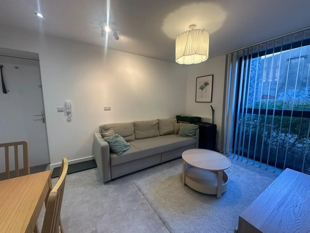 1 bedroom apartment for rent