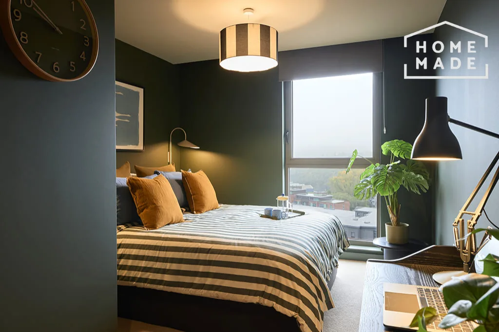 1 bedroom apartment for rent