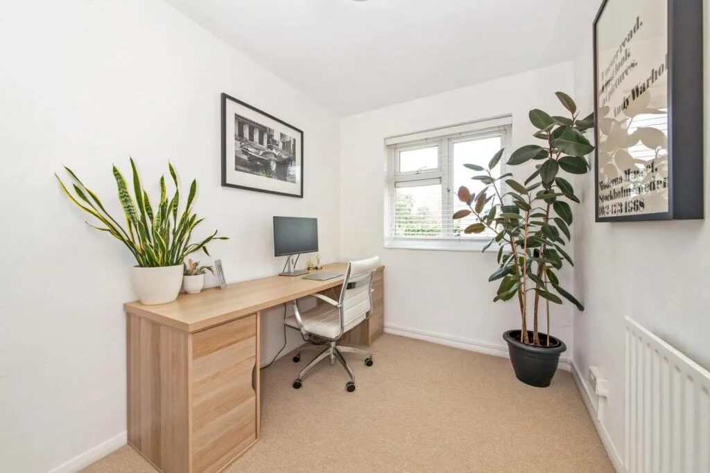 3 bedroom apartment for rent