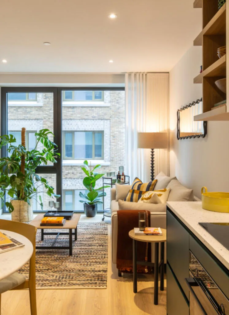 3 bedroom flat for rent