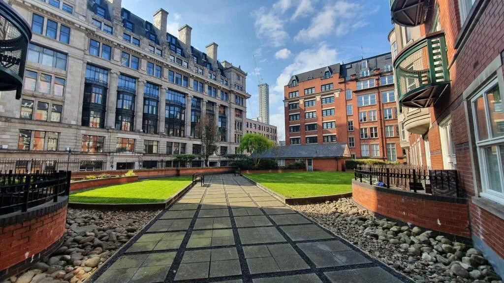 1 bedroom apartment for rent