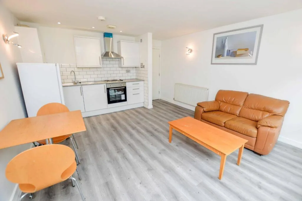 1 bedroom flat for rent