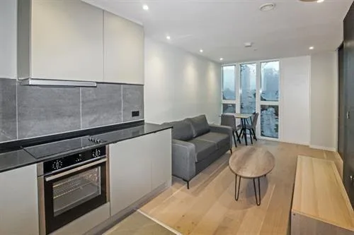1 bedroom apartment for rent