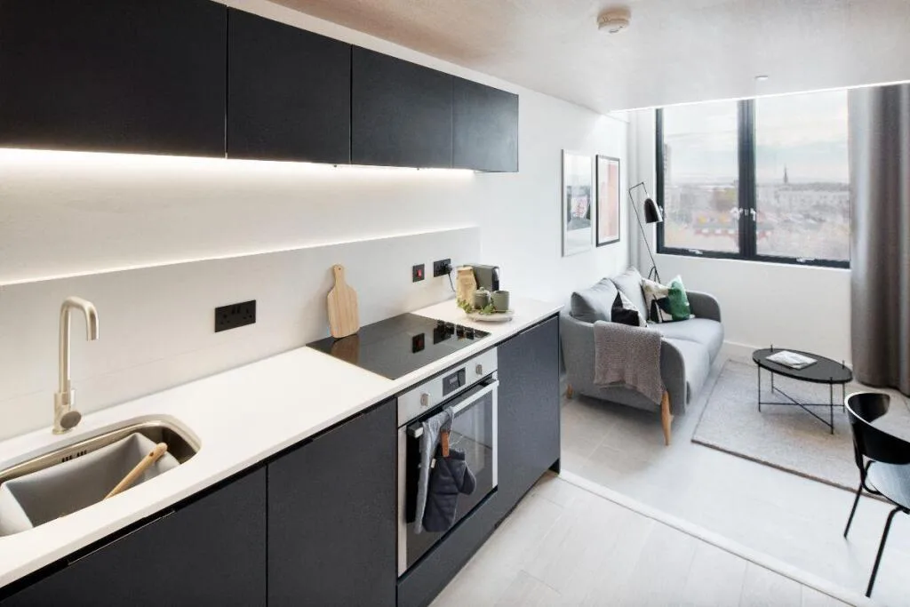 1 bedroom apartment for rent