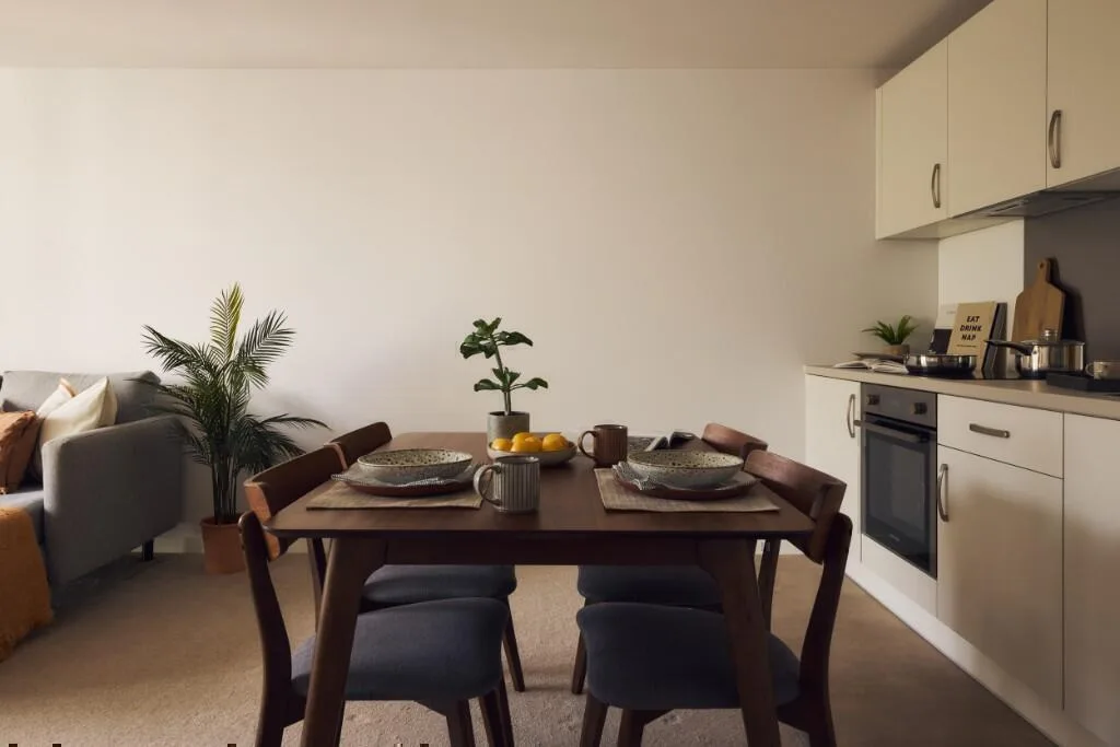 1 bedroom apartment for rent