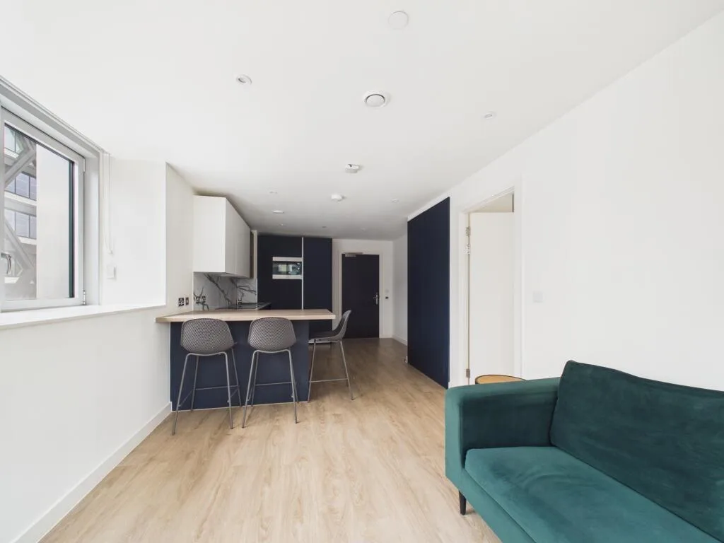 1 bedroom apartment for rent
