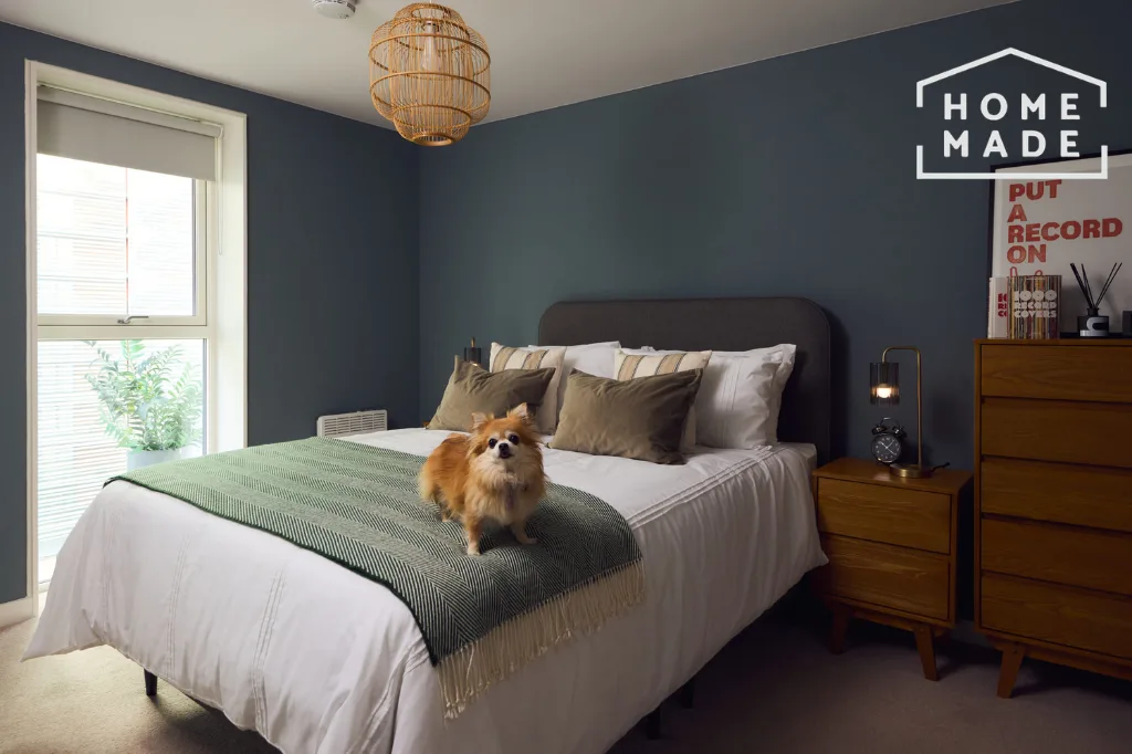 2 bedroom flat for rent