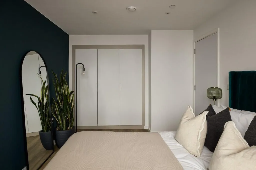 1 bedroom flat for rent