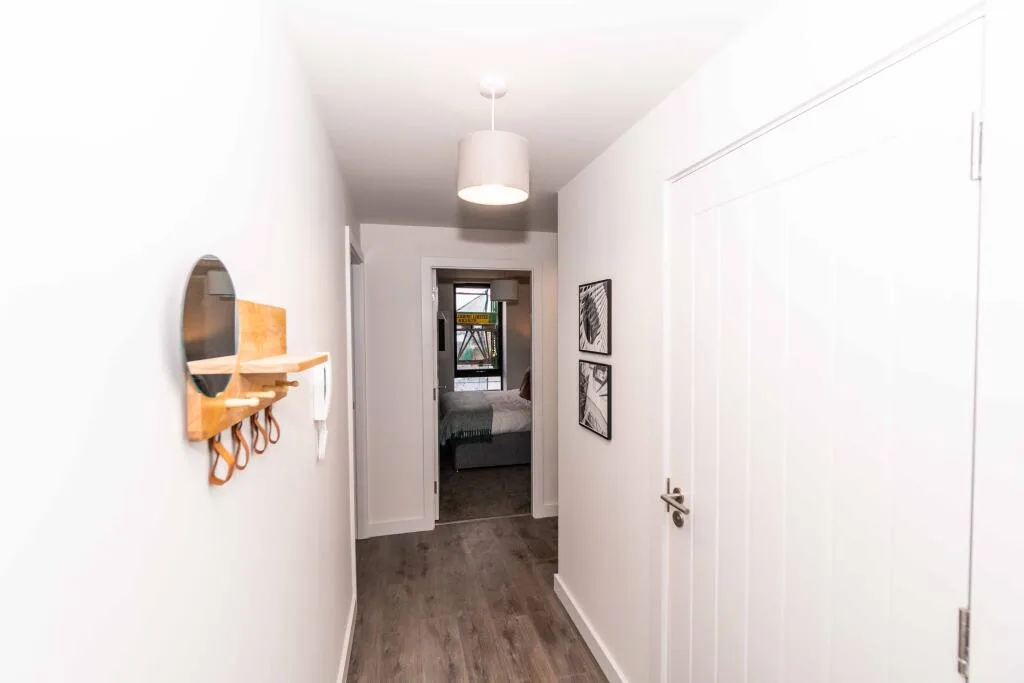 1 bedroom apartment for rent