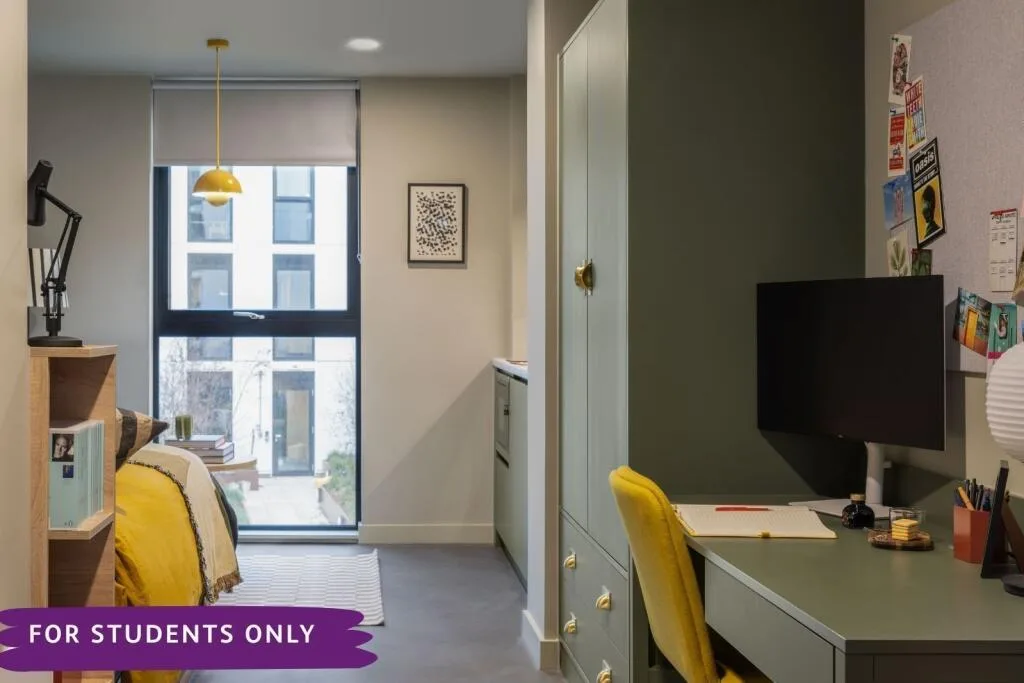 Studio flat for rent