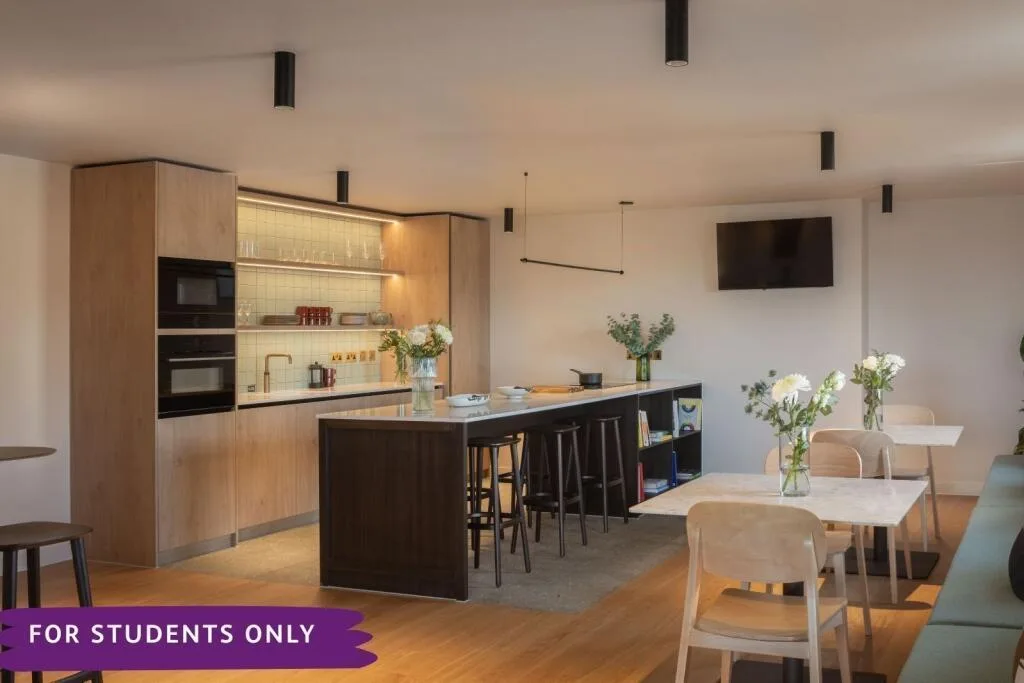 Studio flat for rent