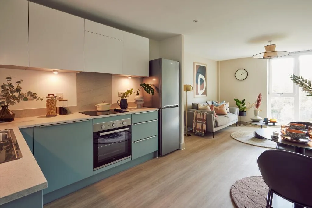 1 bedroom apartment for rent