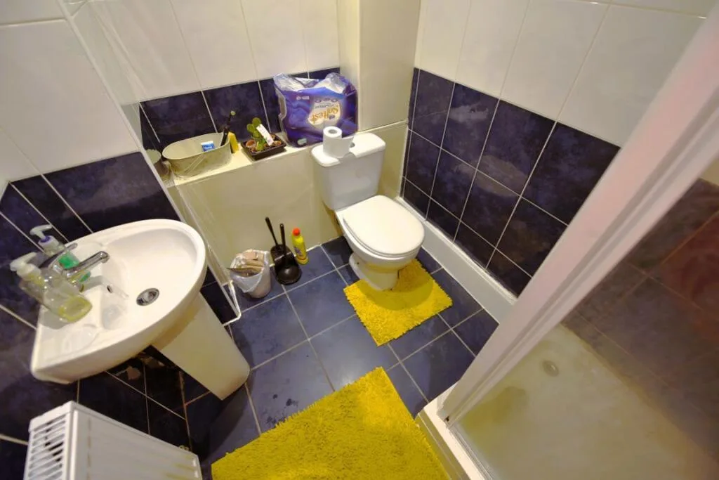 3 bedroom house for rent