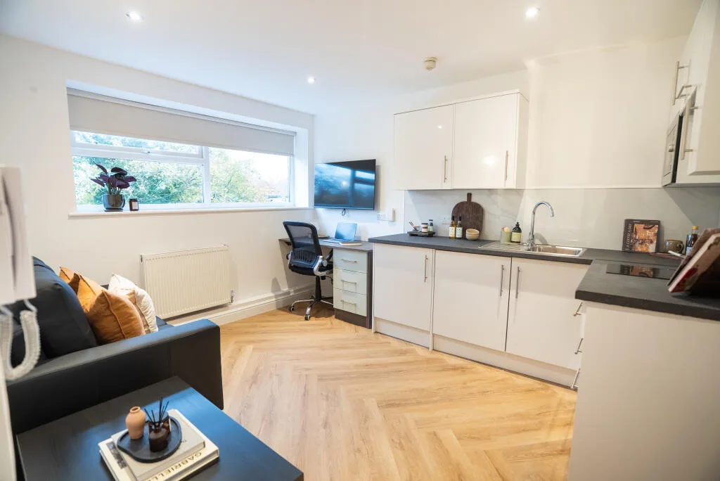 1 bedroom apartment for rent