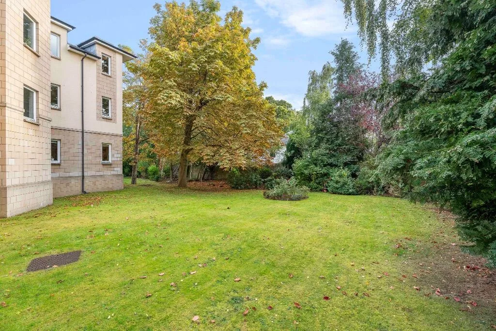 4 bedroom flat for rent