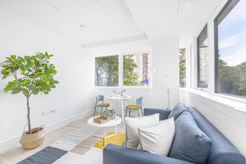 1 bedroom flat for rent