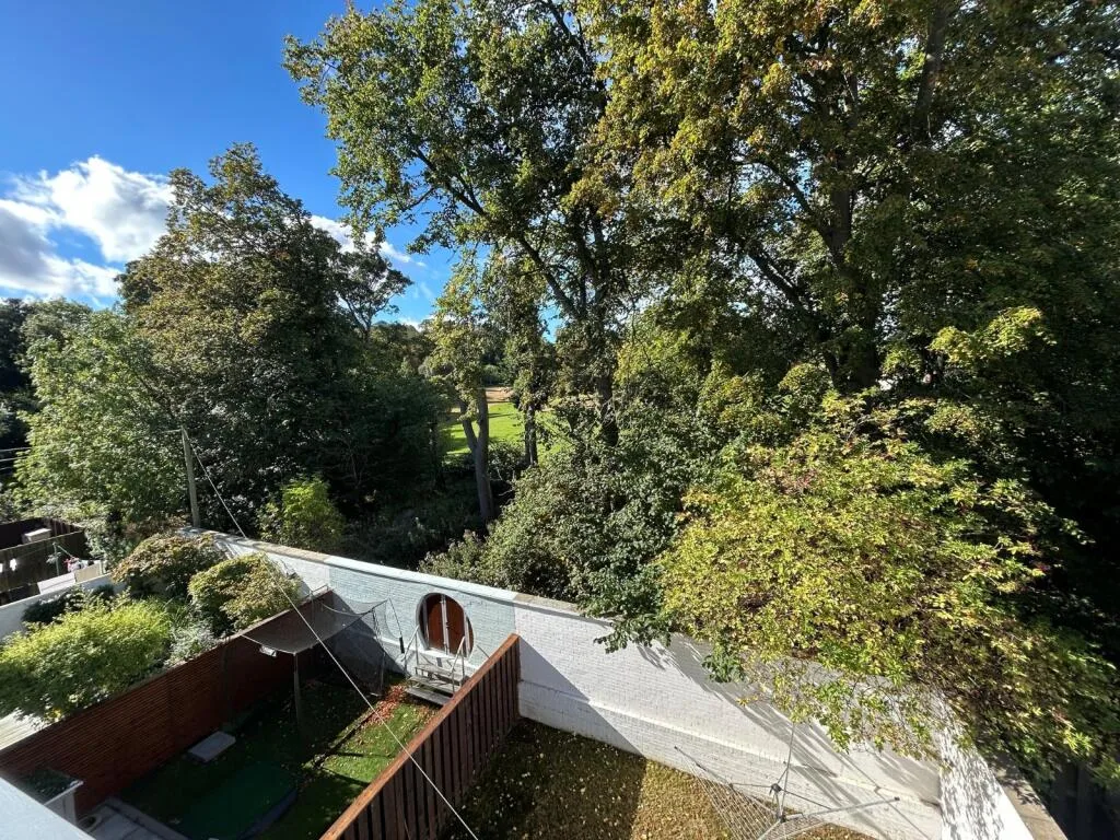 3 bedroom house for rent