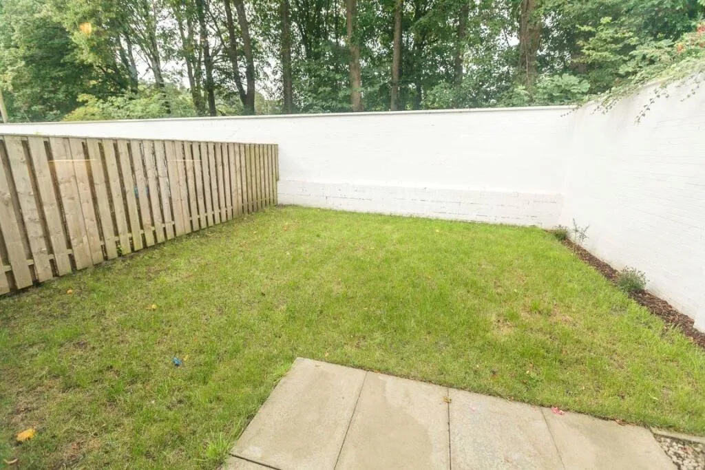 3 bedroom house for rent